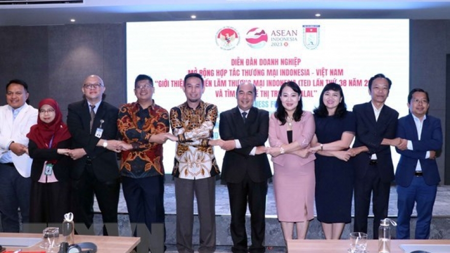 HCM City and Indonesian businesses step up links